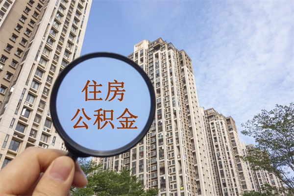 荣成辞职不干了公积金怎么处理（荣成辞职不干了公积金怎么处理最好）